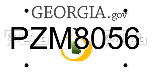 PZM8056 Georgia License Plate
