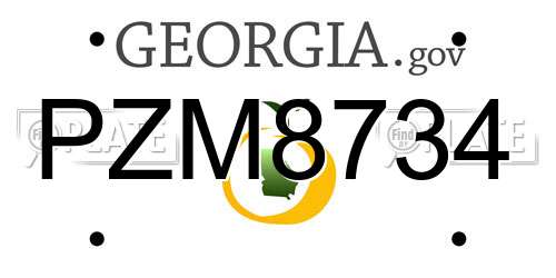PZM8734 Georgia License Plate