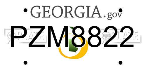 PZM8822 Georgia License Plate