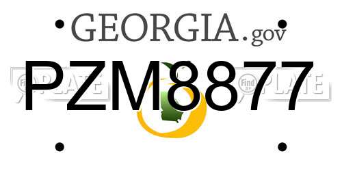 PZM8877 Georgia License Plate