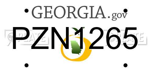 PZN1265 Georgia License Plate