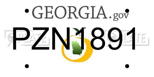PZN1891 Georgia License Plate