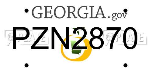 PZN2870 Georgia License Plate
