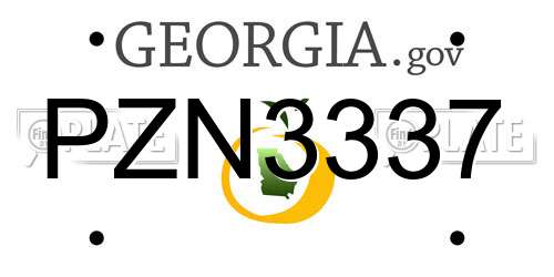 PZN3337 Georgia License Plate