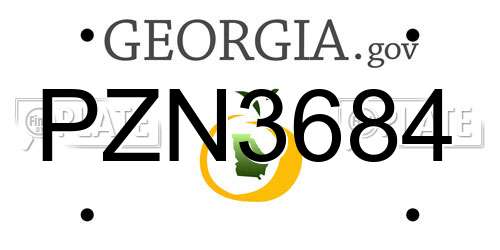 PZN3684 Georgia License Plate
