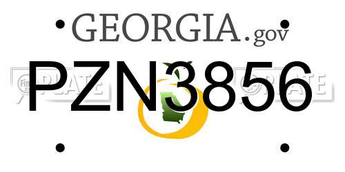 PZN3856 Georgia License Plate
