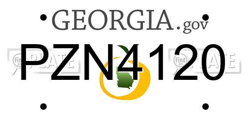 PZN4120 Georgia License Plate