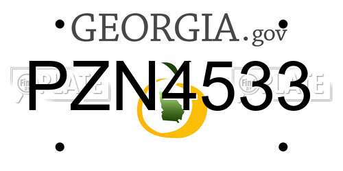 PZN4533 Georgia License Plate