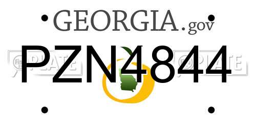 PZN4844 Georgia License Plate