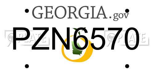 PZN6570 Georgia License Plate
