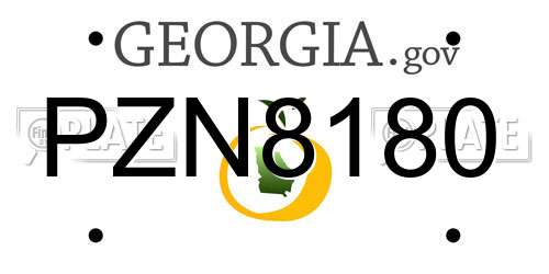 PZN8180 Georgia License Plate