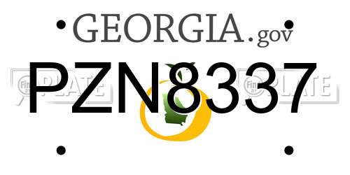 PZN8337 Georgia License Plate