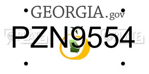 PZN9554 Georgia License Plate