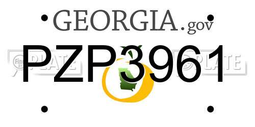 PZP3961 Georgia License Plate
