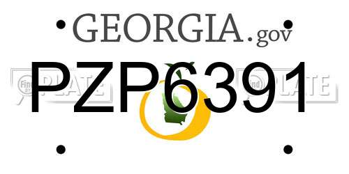 PZP6391 Georgia License Plate