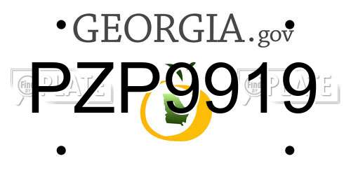 PZP9919 Georgia License Plate