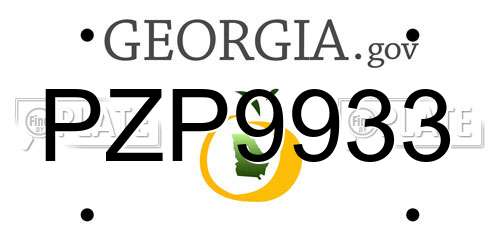 PZP9933 Georgia License Plate