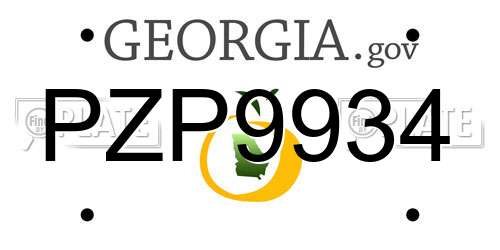 PZP9934 Georgia License Plate
