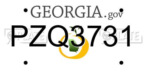 PZQ3731 Georgia License Plate