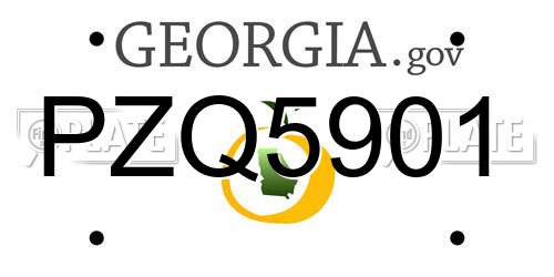 PZQ5901 Georgia License Plate