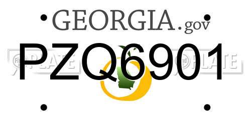 PZQ6901 Georgia License Plate