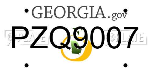 PZQ9007 Georgia License Plate