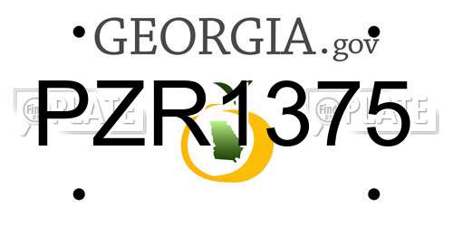 PZR1375 Georgia License Plate