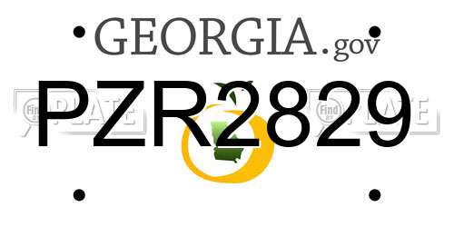 PZR2829 Georgia License Plate