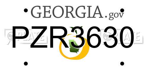 PZR3630 Georgia License Plate