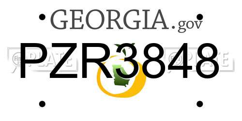 PZR3848 Georgia License Plate