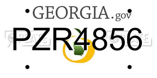 PZR4856 Georgia License Plate