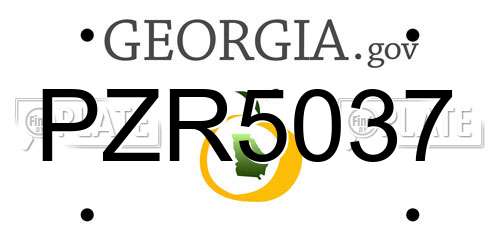 PZR5037 Georgia License Plate
