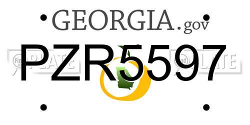 PZR5597 Georgia License Plate