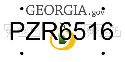 PZR6516 Georgia License Plate