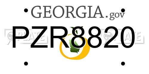 PZR8820 Georgia License Plate