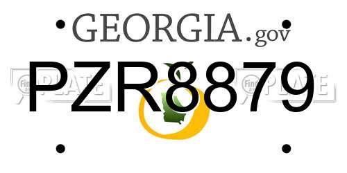 PZR8879 Georgia License Plate