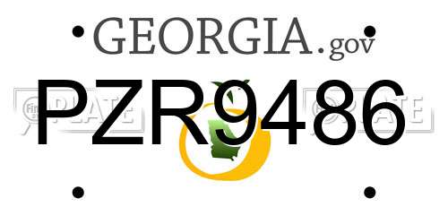 PZR9486 Georgia License Plate