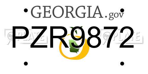 PZR9872 Georgia License Plate