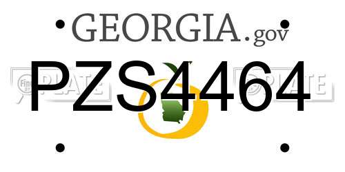 PZS4464 Georgia License Plate