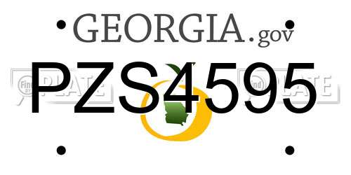 PZS4595 Georgia License Plate