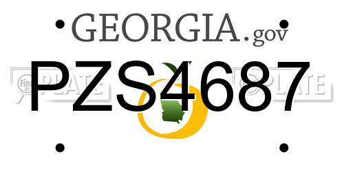 PZS4687 Georgia License Plate
