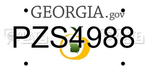 PZS4988 Georgia License Plate