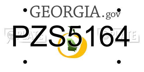 PZS5164 Georgia License Plate