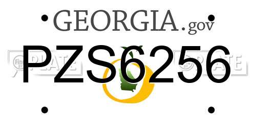 PZS6256 Georgia License Plate