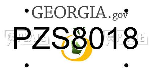 PZS8018 Georgia License Plate