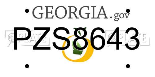 PZS8643 Georgia License Plate