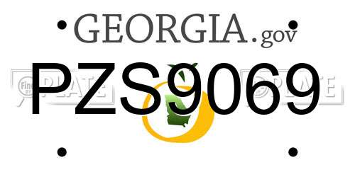 PZS9069 Georgia License Plate