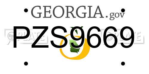 PZS9669 Georgia License Plate