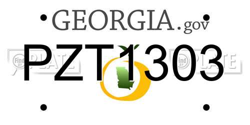 PZT1303 Georgia License Plate