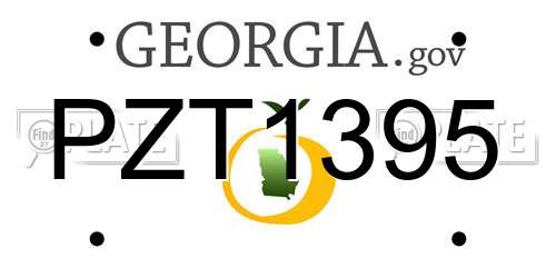 PZT1395 Georgia License Plate